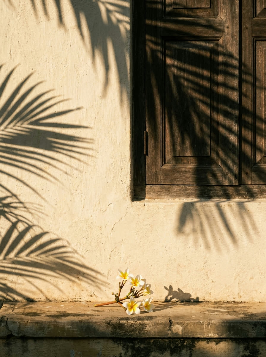 Palm shadows across a limewashed wall beside a timber shutter